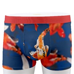 Chinese Goldfish Pink Men s Boxer Briefs by Givinglala