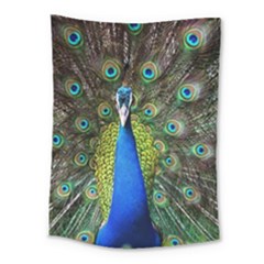 Peacock Bird Feathers Pheasant Nature Animal Texture Pattern Medium Tapestry by Bedest