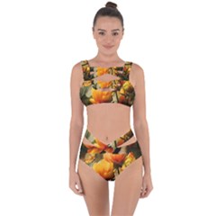 Yellow Butterfly Flower Bandaged Up Bikini Set  by Azkajaya