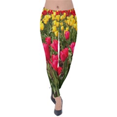 Yellow Pink Red Flowers Velvet Leggings by Azkajaya