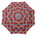 Illustrations Watermelon Texture Pattern Straight Umbrellas View1