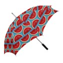 Illustrations Watermelon Texture Pattern Straight Umbrellas View2