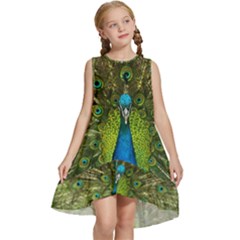 Peacock Feathers Bird Plumage Kids  Frill Swing Dress by Perong