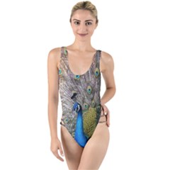 Peacock Bird Animal Peafowl High Leg Strappy Swimsuit by Perong