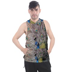 Peacock Bird Animal Peafowl Men s Sleeveless Hoodie by Perong