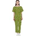 Kiwi Fruit Pattern Green Background Batwing Lightweight Chiffon Jumpsuit View1