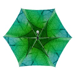 3d Leaves Texture Sheet Blue Green Automatic Folding Umbrella With Case (small) by Cemarart