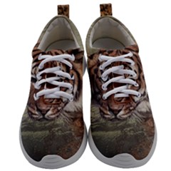 Swimming Tiger Mens Athletic Shoes by ExtraAwesomeSauce