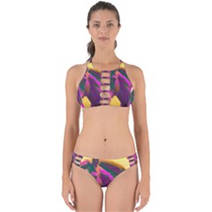 Vibrant Abstract Equine Art Perfectly Cut Out Bikini Set by ExtraGoodSauce