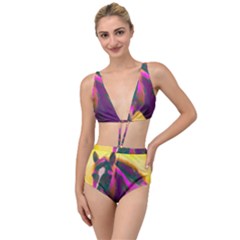 Vibrant Abstract Equine Art Tied Up Two Piece Swimsuit by ExtraAwesomeSauce