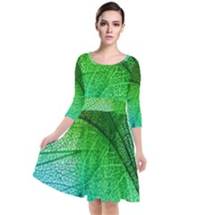 3d Leaves Texture Sheet Blue Green Quarter Sleeve Waist Band Dress by Cemarart