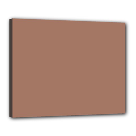 Mocha Mousse Hex Code #a47864 Canvas 20  X 16  (stretched) by dressshop