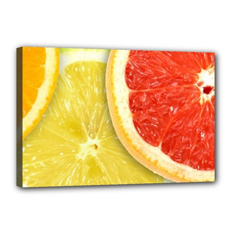 Fruit, Lemon Canvas 18  X 12  (stretched) by kyorashop23