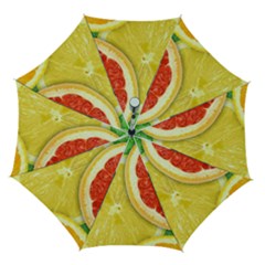 Fruit, Lemon Automatic Folding Umbrella With Case (medium) by kyorashop23