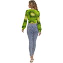 Kiwi Fruits, Close-up, Exotic Fruit Long Sleeve Deep-V Velour Top View4