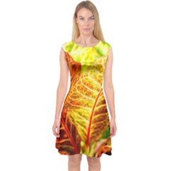 Leaves Plant Pattern Croton Nature Capsleeve Midi Dress by Sabxi