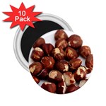 Hazelnuts 2.25  Button Magnet (10 pack) Front