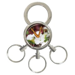 Butterfly 159 3-ring Key Chain by pictureperfectphotography