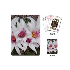 Bloom Cactus  Playing Cards (mini) by ADIStyle