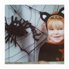 Spider Baby Glasses Cloth (medium) by tammystotesandtreasures