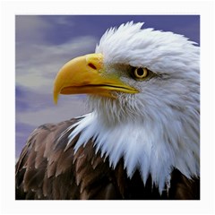 Bald Eagle Glasses Cloth (medium, Two Sided) by Siebenhuehner