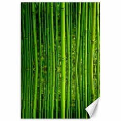 Bamboo Canvas 20  X 30  (unframed) by Siebenhuehner