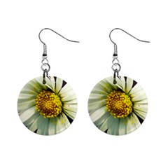 Daisy Mini Button Earrings by Siebenhuehner