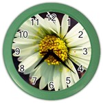 Daisy Wall Clock (Color) Front