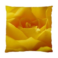 Yellow Rose Cushion Case (single Sided)  by Siebenhuehner