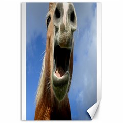 Haflinger  Canvas 20  X 30  (unframed) by Siebenhuehner