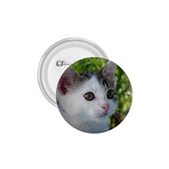 Young Cat 1 75  Button by Siebenhuehner