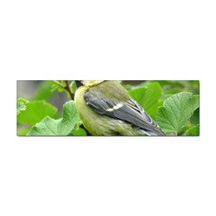 Songbird Bumper Sticker 100 Pack by Siebenhuehner