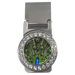 Peacock Money Clip (cz) by Siebenhuehner