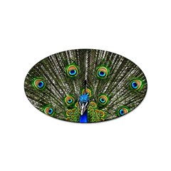 Peacock Sticker 100 Pack (oval) by Siebenhuehner