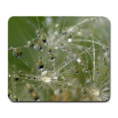 Dandelion Large Mouse Pad (rectangle) by Siebenhuehner