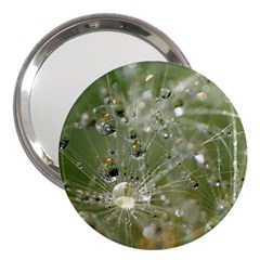 Dandelion 3  Handbag Mirror by Siebenhuehner