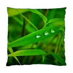 Bamboo Leaf With Drops Cushion Case (single Sided)  by Siebenhuehner