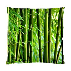 Bamboo Cushion Case (single Sided)  by Siebenhuehner