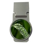 Grass Drops Money Clip (Round) Front