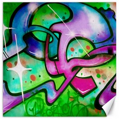 Graffity Canvas 20  X 20  (unframed) by Siebenhuehner