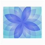 Abstract Lotus Flower 1 Glasses Cloth (Small, Two Sided) Front