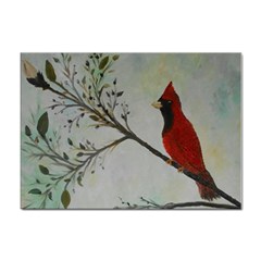 Sweet Red Cardinal A4 Sticker 100 Pack by rokinronda