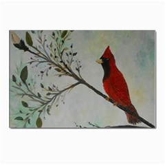 Sweet Red Cardinal Postcard 4 x 6  (10 Pack) by rokinronda