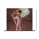 Ballerina Small Door Mat 24 x16  Door Mat