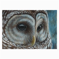 Barred Owl Glasses Cloth (large) by TonyaButcher