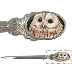 Tawny Owl Letter Opener by TonyaButcher