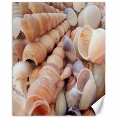 Sea Shells Canvas 16  X 20  (unframed) by yoursparklingshop