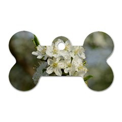 Spring Flowers Dog Tag Bone (one Sided) by anstey