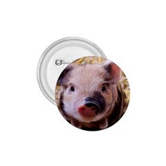 Sweet Piglet 1 75  Buttons by ImpressiveMoments