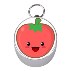 Kawaii Tomato Mini Silver Compasses by KawaiiKawaii